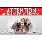 Panel de plástico Atención al perro braco de weimar de pelo largo