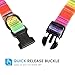HEELE Hundehalsband, Hunde Halsband für Welpen Kleine Mittlere Große Hunde, Gemustertes Hundehalsbänder Verstellbares, Komfort, Robustem HundeHalsband, Regenbogen, XS