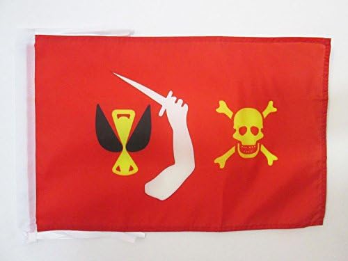 AZ FLAG, Pirate Christopher Moody Flag, 18'' x 12'', 100% Polyester skull Pirates Small Banner with Two Cords, Fade Resistant