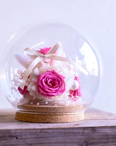 t[Xg vU[uht[ ͂Ȃ [YVV b܎܃fUCi[ďC t[Mtg o v[g Mtg aj LO v[g ̓ lC w   (vZXsN, L)