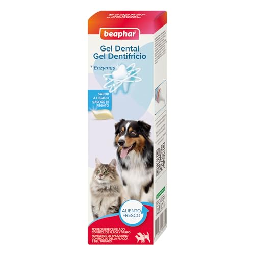 Beaphar Gel Dental | Perros y Gatos | Cuidado Dental Sin Cepillado | Elimina Sarro y Placa | Higiene Bucal Perros y Gatos | Acción Enzimática | Contra Mal Aliento | Sabor a Carne | 100g