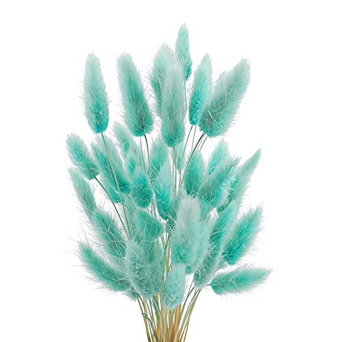 JKDHJK 50 Pcs Herbe De La Pampa Fleurs Séchées Ne Se Fanent Jamais Fleur Sechees Décoration Naturelle Boheme Fleurs Déco Anniversaire Décoration Mariage Décoration Maison (Bleu Tiffany Clair)