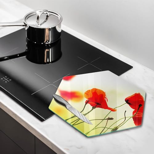 Plaque protection induction évite rayures table cuisson hexagone 40cm - 3