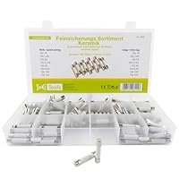 SeKi 160 Teile Feinsicherung Keramiksicherungen 6x30 Sortiment 160-teilig 16 Typen; 8 x Flink + 8 x Träge 1A, 1,6A, 2A, 3,15A, 5A, 6,3A, 10A und 15A Sicherung; Glasrohrsicherung; Keramik Sicherung