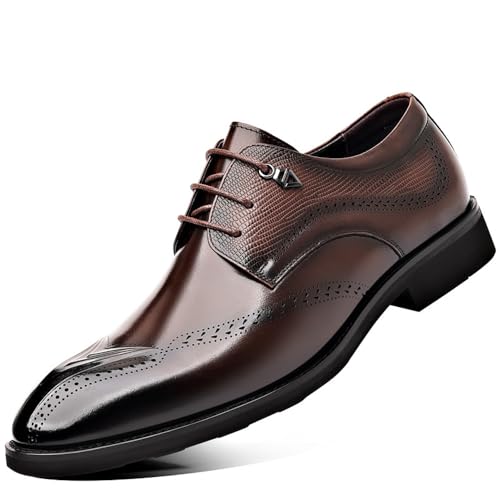 [XtH] rWlXV[Y bV Y {v vC tH[} amC JWA OH EH[LO K _炩 ʋC hL t@bV (uE, 24.0 cm)