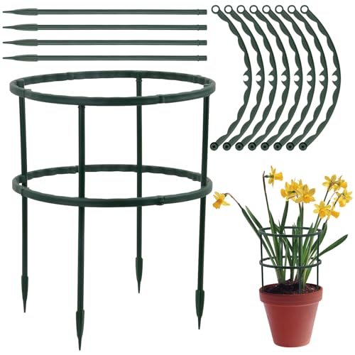 Tuteur Plante Grimpante, Tuteurs pour Plantes Interieur, Tuteur Tomates, Tuteur Rosier, Anneau De Support pour Plantes De Jardin, pour Plantes en Pot, Tomates, LéGumes, Pivoines 20x24 Cm