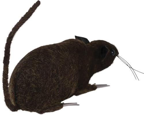 Photo complémentaire