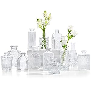 Glass Bud Vases Set of 12, Small Vases for Flowers, Clear Bud Vases in Bulk for Centerpieces Mini Vintage Vase for Rustic Home Wedding Table Decorations