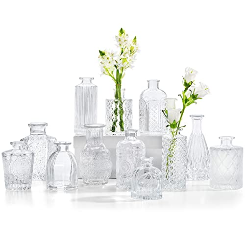 Glass Bud Vases Set of 12, Small Vases for Flowers, Clear Bud Vases in Bulk for Centerpieces Mini Vintage Vase for Rustic Home Wedding Table Decorations