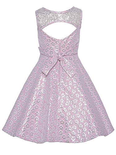 Bonnie Jean Big Girls Illusion Floral Brocade Fit Flare Dress - Special Occasion Social Party Wedding Flower Girl Easter Holiday, Illusion Floral Brocade/Pink Silver, 123