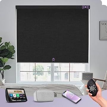 alexa controlled window shades