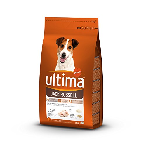 Ultima Jack Russell Formel Trockenfutter 1,5 kg