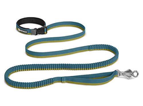 RUFFWEAR - Roamer Extending Dog Leash, Baja Blue (2017), 7.3-11 ft