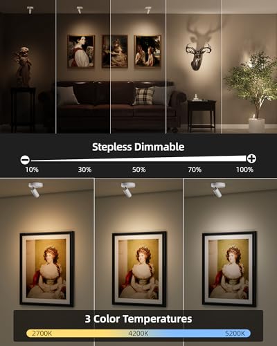 Image of EZVALO Battery-Powered LED Spotlight Indoor, Wireless Picture Lights with Remote, 5500mAh Rechargeable Mini Display Light, Uplighting Indoor for Artwork, Tree, Painting, Portrait (1-Pack White)