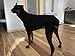 Imily Bela Hundepullover Fleece Rollkragen Hundemantel Warmer Weste Pullover Outdoor Hundejacke Winterkleidung für Kleine Mittel Große Hunde,Schwarz,M