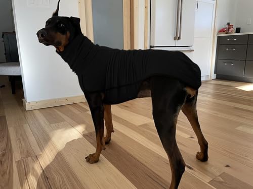 Imily Bela Hundepullover Fleece Rollkragen Hundemantel Warmer Weste Pullover Outdoor Hundejacke Winterkleidung für Kleine Mittel Große Hunde,Schwarz,M