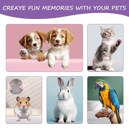 Image of 15 Colors Dog Safe Nail Polish Pen Quick Dry, Pet Nail Colors for Cats /Dogs /Birds /Rabbits, Easy to Apply