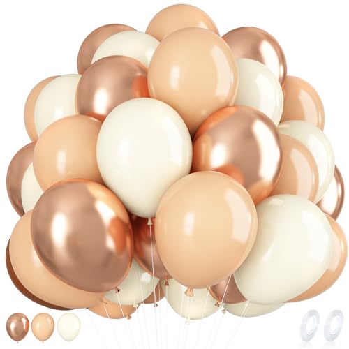 o[ D 50 12C` a t  fR[V o[A[g SD EhD  RtFbeB  p[eB[ Ղ  ^  Cxg 6