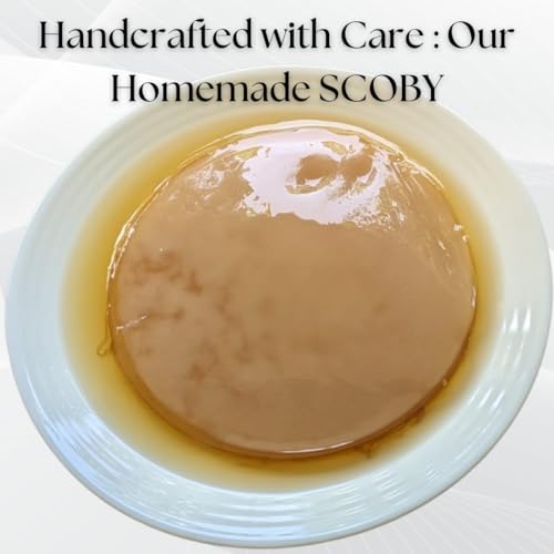 Image of Raintree Organics Kombucha SCOBY with Starter Culture Kit by Raintree Organics