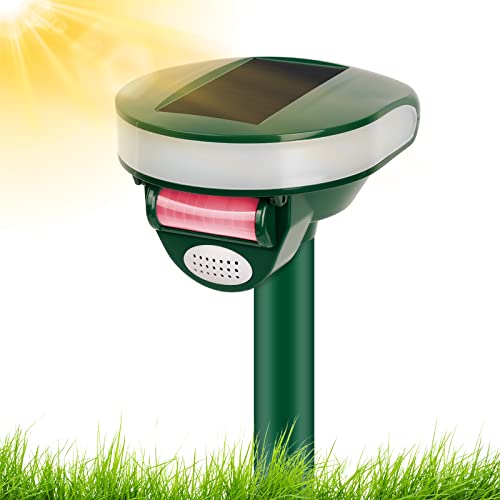 Amazon.co.uk Best Sellers The most popular items in Sonic Dog Repellents