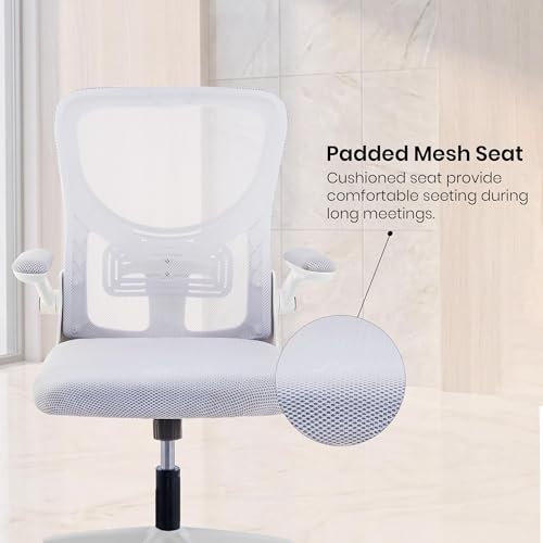 Image of Casa Copenhagen Grey White | Mid Back Imported Mesh Fabric Boss Office Chair | Y Design Ergonomic Back Support | 2D Aero Design Adjustable Armrests | Synchro Tilt Lock Mechanism | Adjustable Lumbar