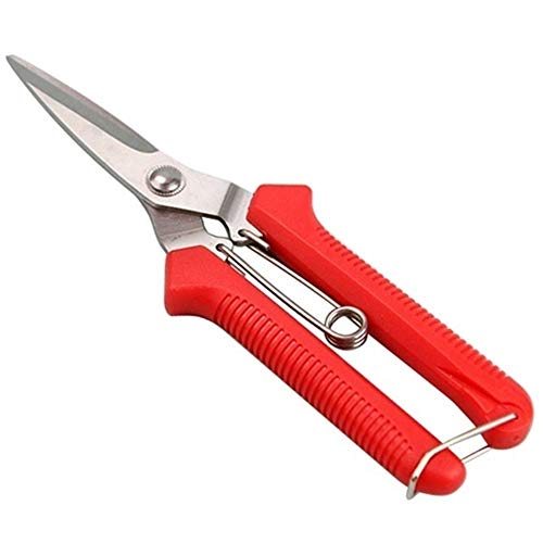 Tijeras de podar, tijeras para bordes, tijeras multiusos, tijeras de jardín, tijeras para setos, tijeras de podar, tijeras de podar, tijeras de floristería rectas para pl