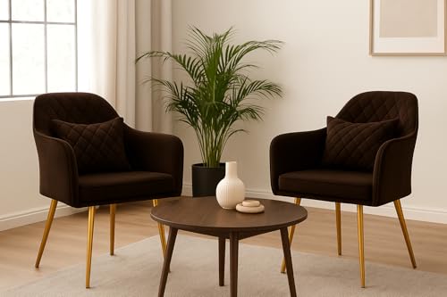 Image of Velvet Chair with Floral Pillow for Home | Modern Accent Armchair in Soft Velvet Fabric with Golden Legs | Set of 2 Premium Accent Chair for Living Room Bedroom (Barfi Dark Brown)