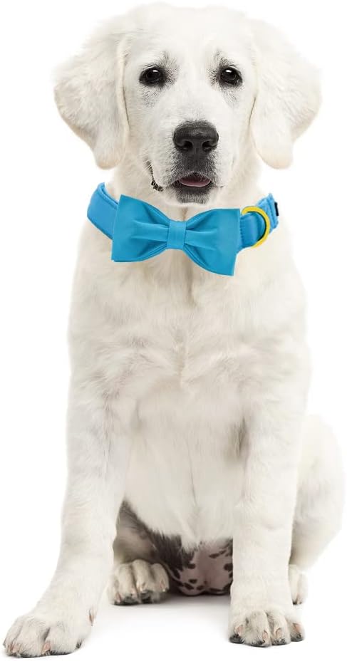 Maca Bates Sky Blue Dog Collar with Bow Tie for Small Girl Boy Dogs,Solid Color,Adjustable Breakaway Collars Birthday Gift Female Male Puppy Pet image 3