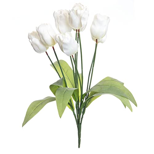 Ashland White Tulip Bush