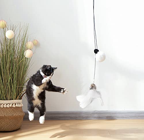 Lekewpet Retractable Cat Feather Toys, 8Pcs Feather Replacements With Bell, Interactive Doorway Hanging Teaser Cat Toys For Indoor Cats. Kitten Play Pompom & Feather Teaser. #TOP5