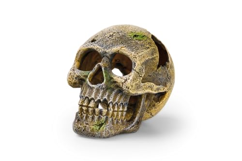 Eden 95228 Totenkopf - Aquariumdekoration, ideales Versteck für Aquariumbewohner, individuelle Aquariumgestaltung