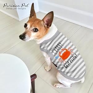   Parisian-Pet-Unisex-Dog-Tshirt-Embroidered-Crabby-but-Cute-Dog-Shirt-Breathable-and-Lightweight-Dog-Tank-Top-Sleeveless-Grey-Dog-Tee-Shirts-Machine-Washable-Dog-Shirt-for-Large-Dogs-L
