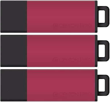 Centon DataStick Pro2 USB 2.0 Flash Drive 128GB x 3, Pink S1B-U2T20-128G-3