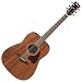 Ibanez AW54OPN Artwood Dreadnought Acoustic Guitar - Open Pore Natural