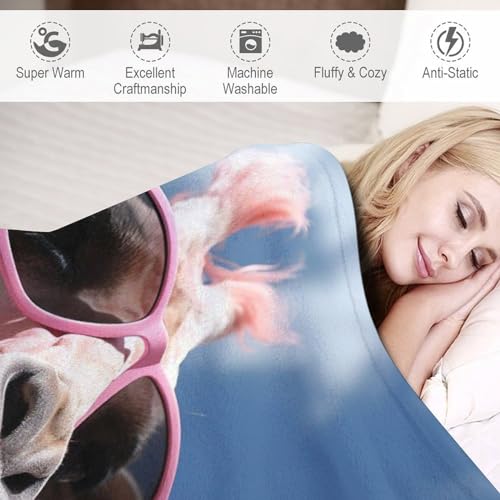 Couverture girafe moelleuse et chaude pour canapé 140x180cm