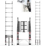 Escalera telescópica plegable de 4,4 m, con gancho, acero inoxidable, reforzada, extensible, portátil, plegable, diseño telescópico con patas de goma antideslizantes, para jardín e interior, capacidad