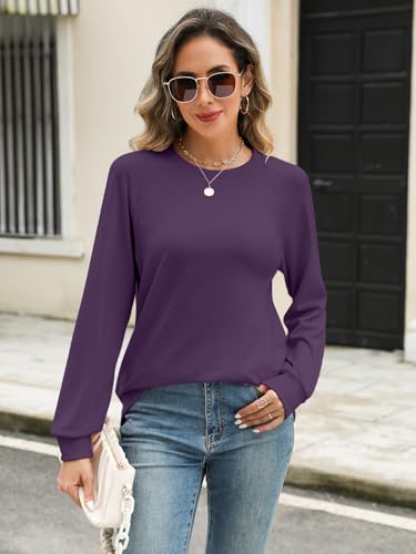 Syellowafter Womens Long Sleeve Shirts Crewneck Fall Tops Casual Loose Fit Basic Pullover Top2