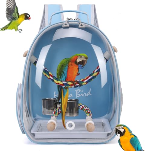 Hopeholic p L[obO p CR L[ bN p ړpP[W  ZLZCCR IJCR L[P[X Ƃ܂胍[v a ʋC  L UAsAp̒ (u[)