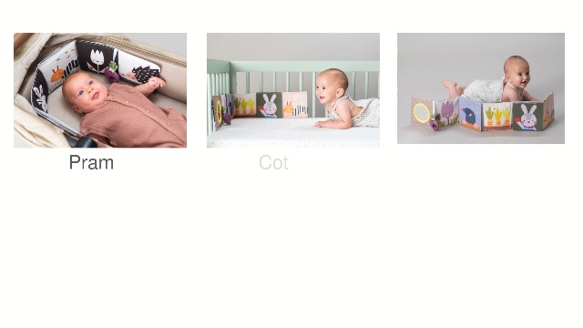 Amazon.com : Taf Toys Urban Garden Soft Cloth Newborn Book