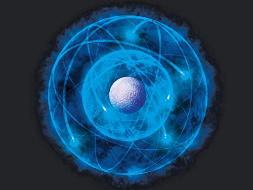 A Tour of the Nucleus and Nuclear Forces 