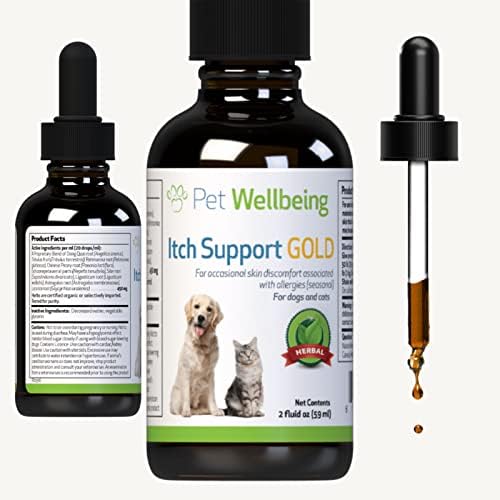 Why Is My Dogs Skin Itchy