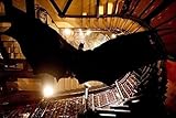  Batman begins