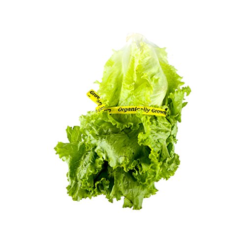 Bristol Farms, Organic Green Leaf Lettuce, 1 Count - Thumbnail 4