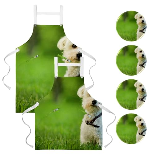 Lot de 2 tabliers de cuisine imprimé chien maltais et ses 4 broches