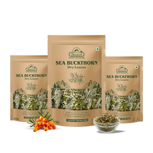 Image of Biosash Sea Buckthorn Dry Leaves 50g*3 | 100% Natural Herbal Tea Leaves for Wellness | Caffeine-Free Seabuckthorn Dry Leaf | Rich in Antioxidants & Nutrients | Herbal Infusion for Sugar management |300 GM