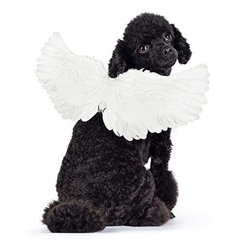 GINDOOR Pet Halloween Angel Costume - White Angel Feather Wings Halloween Cosplay Dress Up Accessories Puppy Cat Costume for Party Decoration