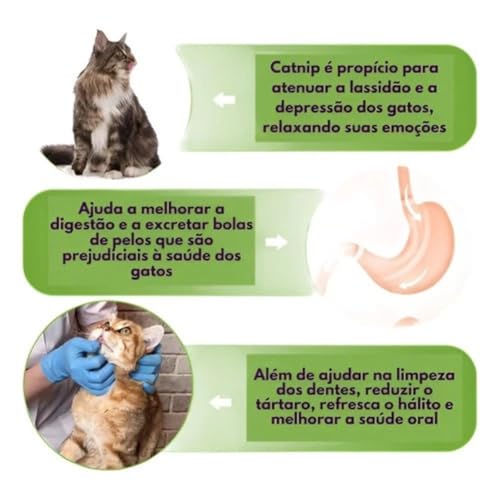 Kit Abacate de Brinquedo Para Gatos com Catnip Erva Natural + Bolinha Pelúcia Para Gato Interativa c