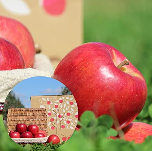 y\񏤕iz󂠂 X~t n  ނڂ t[c ʕ Y 쌧Y 5kg