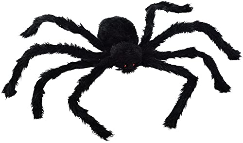 ZOYUBS w N XpC_[  nEBp[eB[pw XpC_[  w XpC_[ N ~/nEBp[eB[pw nEB[̑@w N̏ ʂ݃N ObY w ʂ