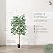 Bambú Artificial con Cañas Naturales, Ideal para Decoración de hogar, Árbol Artificial,...